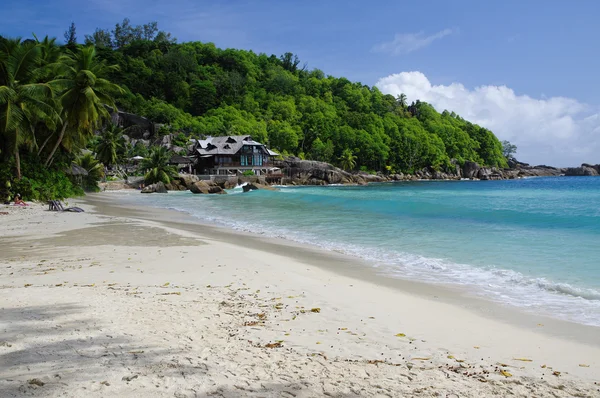 La costa de la isla de Mahe - El bosque ecuatorial en primer plano, Seychelles — Foto de Stock
