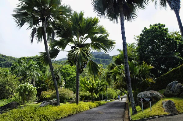 Jardins botaniques nationaux des Seychelles — Photo