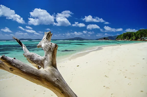 Anse La Blague pláž na ostrově Praslin, Seychely. — Stock fotografie