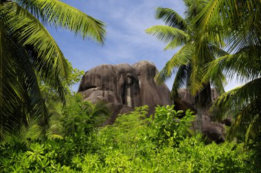 Güzel palmtrees, sendika Estate, La Digue, Seychelles adaları, granit Dağları ile. 