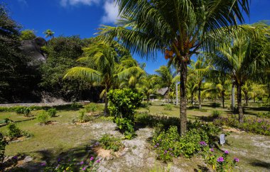 Güzel palmtrees, sendika Estate, La Digue, Seychelles adaları, granit Dağları ile. 