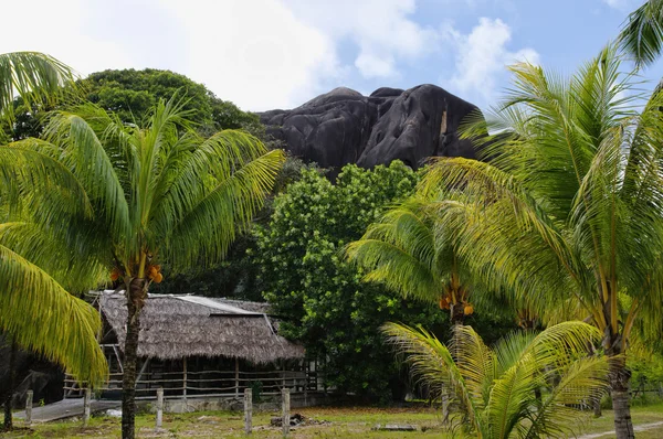 Hermosas palmeras con montañas de granito en Union Estate, La Digue, Islas Seychelles — Foto de Stock