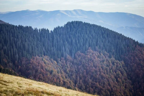 Orman dokusuyla dağ manzarası. Sonbahar manzarası Sonbahar güneşli günü.