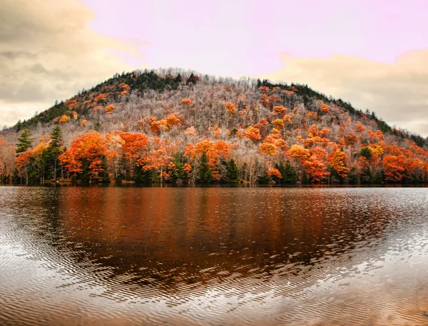 Λίμνη oxbow στα βουνά Adirondack — Φωτογραφία Αρχείου