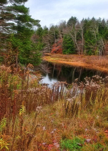 Adirondack creek — Stock Photo, Image