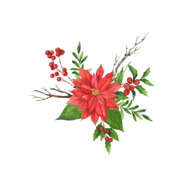 Kırmızı noktalı çiçek, yeşil yapraklar, kutsal yaprak ve kuru dallar. Noel süsü. El çizimi suluboya çizimi.