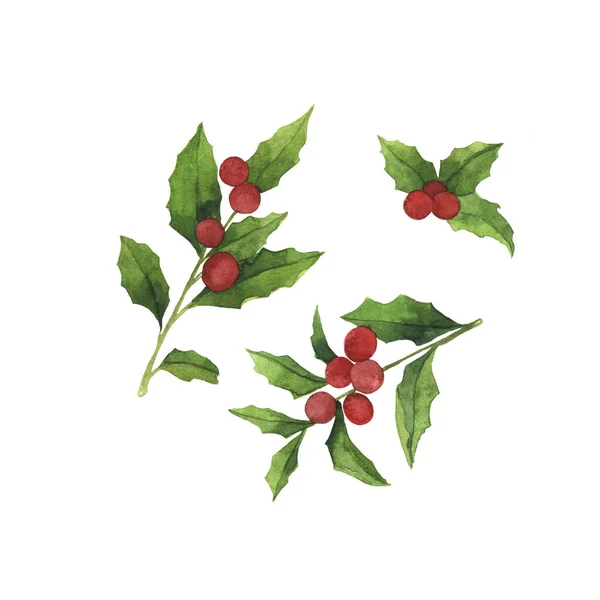 Set of holly leaf branches with green leaves and red berries. Hand drawn watercolor illustration.