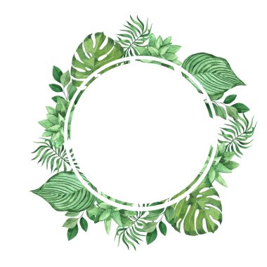 suluboya yeşil yapraklar beyaz arkaplanda izole edilmiş..