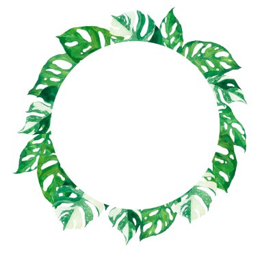 suluboya yeşil yapraklar beyaz arkaplanda izole edilmiş..