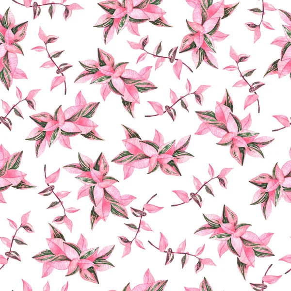 Акварельный Узор Розовых Листьев Ботаническая Иллюстрация Ручная Работа Выделенный Белом — стоковое фото