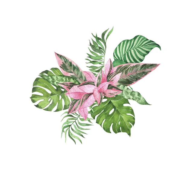水彩画手绘热带花卉图解 — 图库照片