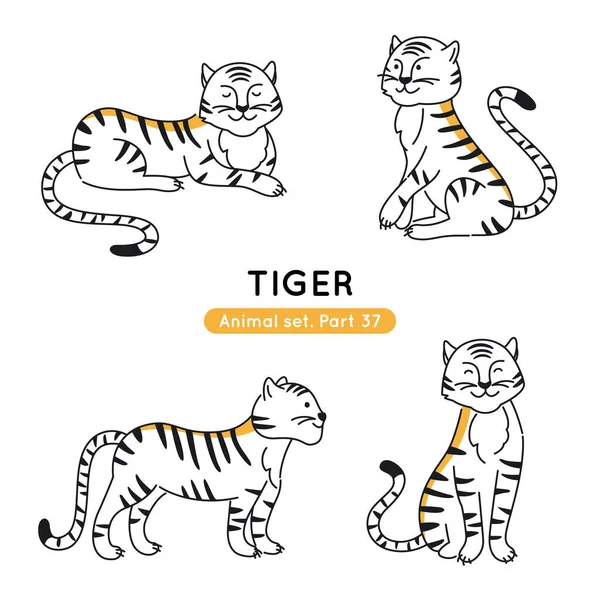 Conjunto Tigres Garabatos Diferentes Poses Colección Caracteres Esquemáticos Aislados — Vector de stock