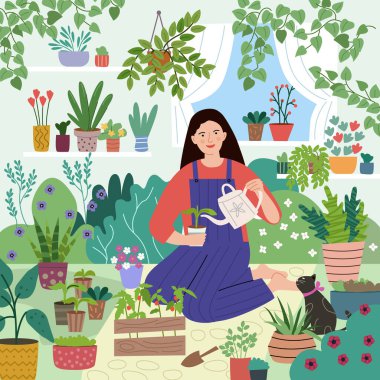 Young woman grows seedling at home garden. Girl and cat in greenhouse. Home exterior. Modern illustration. clipart