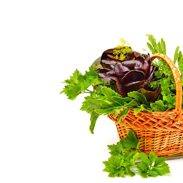 Lockensalat, Wasserkresse, Spinat mit Petersilie — Stockfoto