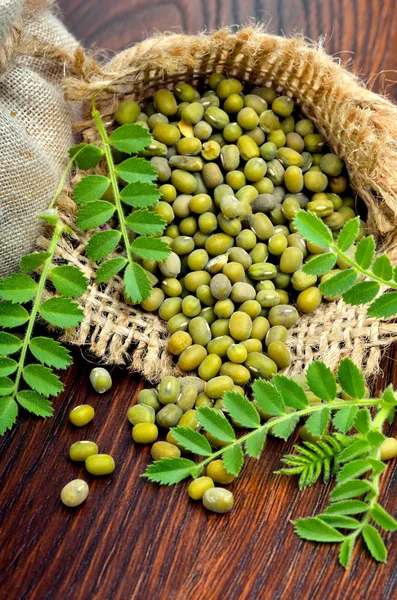 Mungbohnen im Sack. — Stockfoto