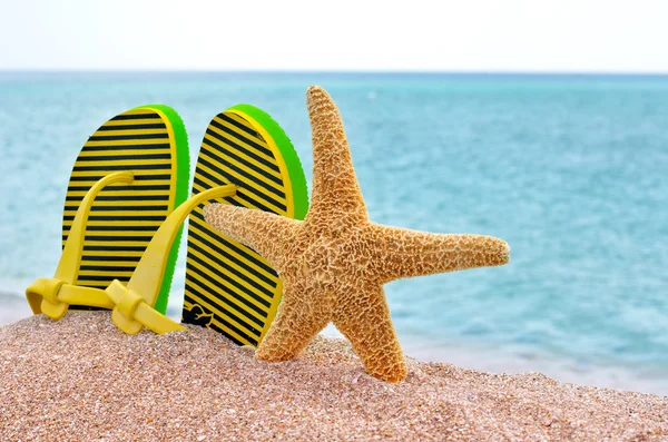 Chanclas coloridas y estrellas de mar . —  Fotos de Stock