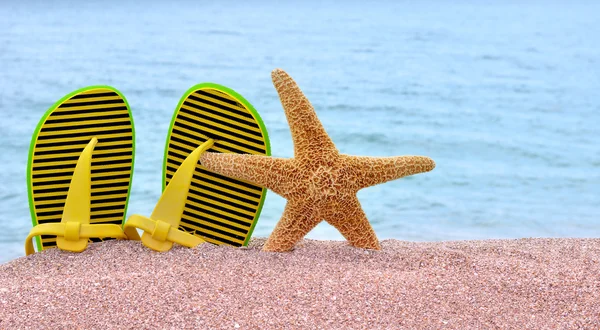 Renkli flip flop ve deniz yıldızı. — Stok fotoğraf