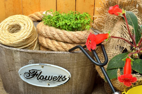 Spring flowers in wooden bucket with garden tools. — Stock Photo, Image