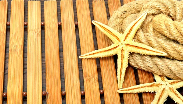 Starfish com corda . — Fotografia de Stock