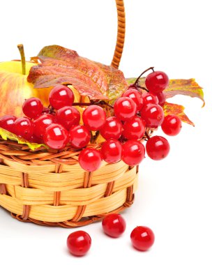 Red viburnum berries and ripe apple in the basket clipart
