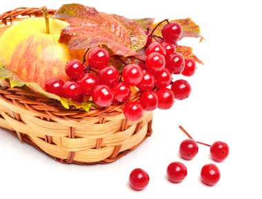 Red viburnum berries and ripe apple in the basket clipart