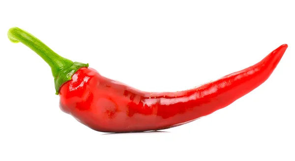 Chili red pepper — Stock Photo, Image