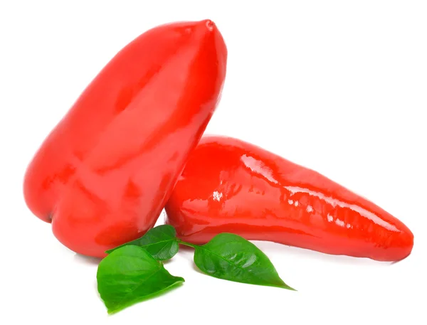 Fresh red bell peppers — Stock Photo, Image