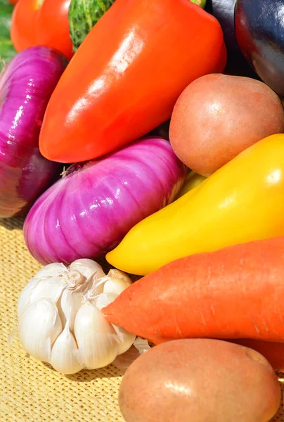 Raw, ripe, bright vegetables on the green grass — Stock Photo, Image