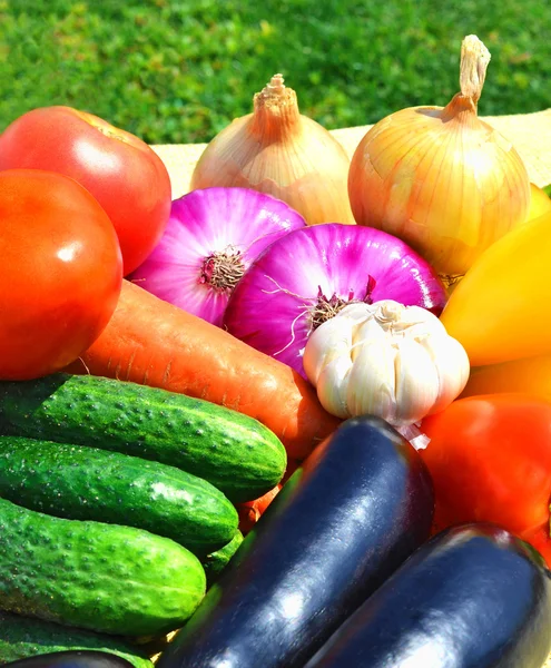 Vegetales crudos, maduros y brillantes en la hierba verde — Foto de Stock