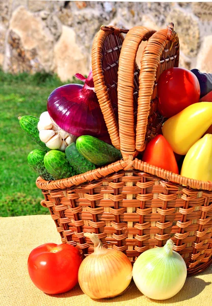 Légumes mûrs dans le panier de pique-nique dans la nature — Photo