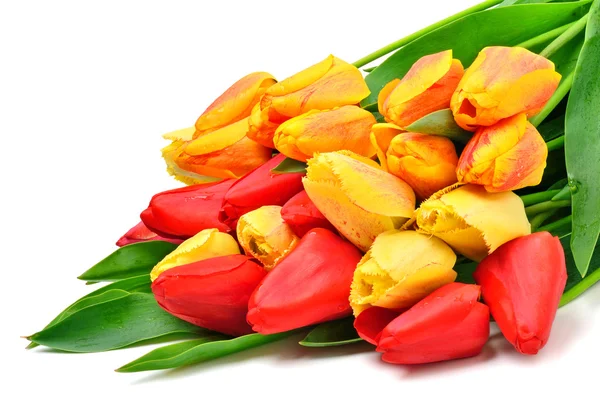 Bunch of fresh red and yellow tulips — Stock Photo, Image