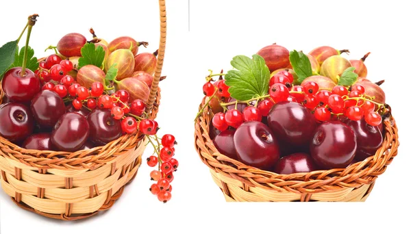Cesto con ciliegia matura, ribes e uva spina — Foto Stock