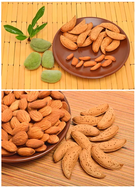 Peeled almonds on the ceramic saucer and in the nutshell — Stock Photo, Image