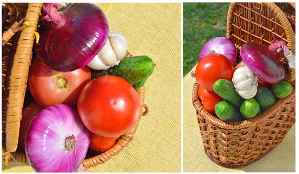 Piknik sepeti içinde ham, olgun sebze — Stok fotoğraf