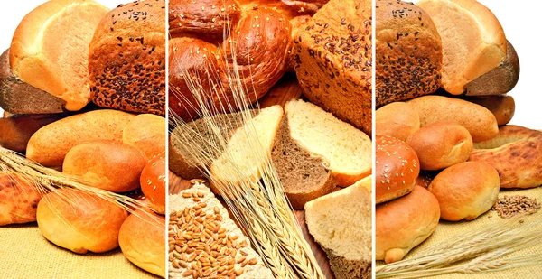 Pão fresco, grãos de trigo e espigas de trigo — Fotografia de Stock