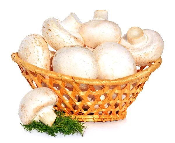 Field mushrooms in the basket with green dill — Stock Photo, Image