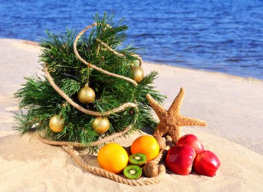 Olgun meyve ve kum üzerinde deniz yıldızı ile Noel ağacı 