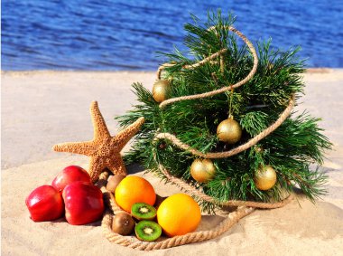 Olgunlaşmış meyve ve kum üzerinde deniz yıldızı ile şenlikli Noel ağacı