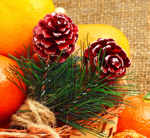 在圣诞节圣诞松树树枝与松果和橘子 — 图库照片