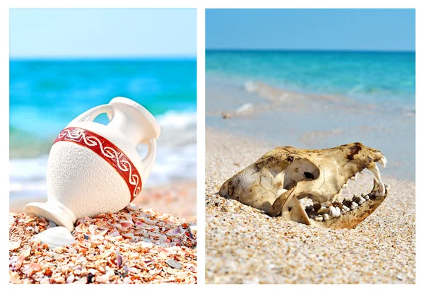 Hond schedel en vaas op het strand — Stockfoto