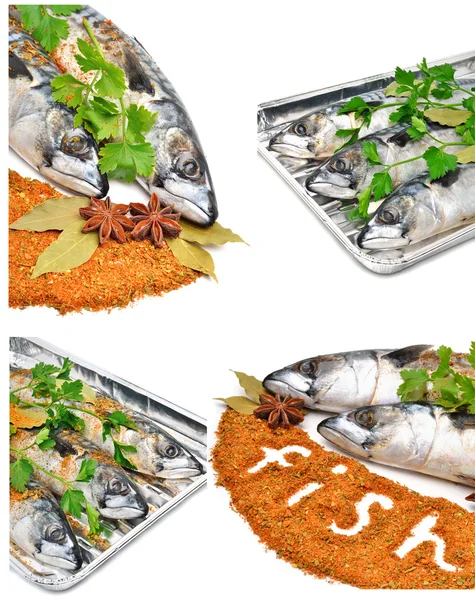 Свежая рыба макрель с петрушкой и специями — стоковое фото