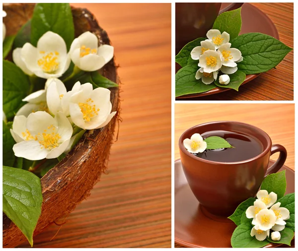 Çay bardağı ile ahşap üzerine Yasemin çiçeği — Stok fotoğraf