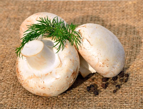 Raw champignon mashrooms with dill and pepper on the sacking — Stock Photo, Image