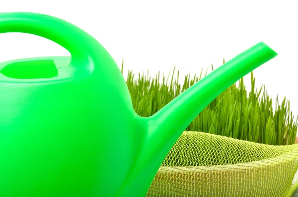Annaffiatoio in plastica ed erba verde isolata su bianco — Foto Stock