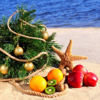 Olgunlaşmış meyve ve kum üzerinde deniz yıldızı ile şenlikli Noel ağacı