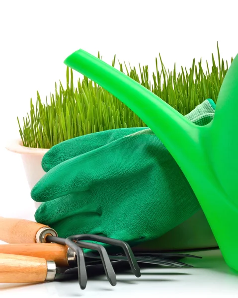 Sulama-can, komisyon, pot, lastik eldiven ve yeşil çimen — Stok fotoğraf