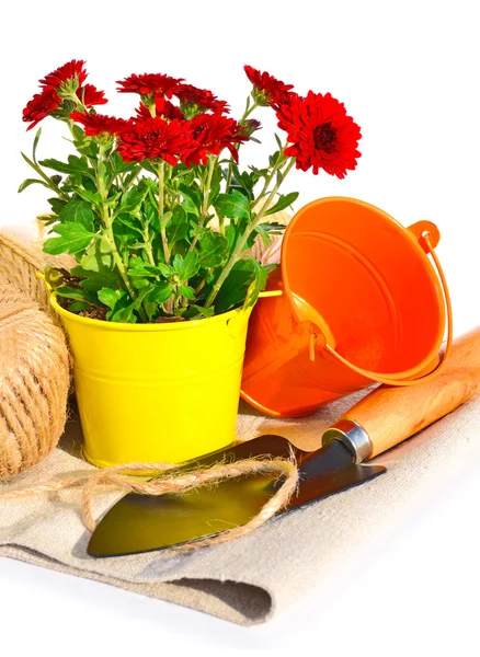 Attrezzi da giardinaggio, vaso da fiori con fiori di quercia sul sacco — Foto Stock