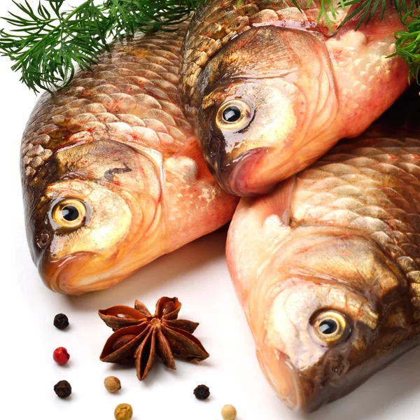 Crucian carp fishes with green dill — Stock Photo, Image