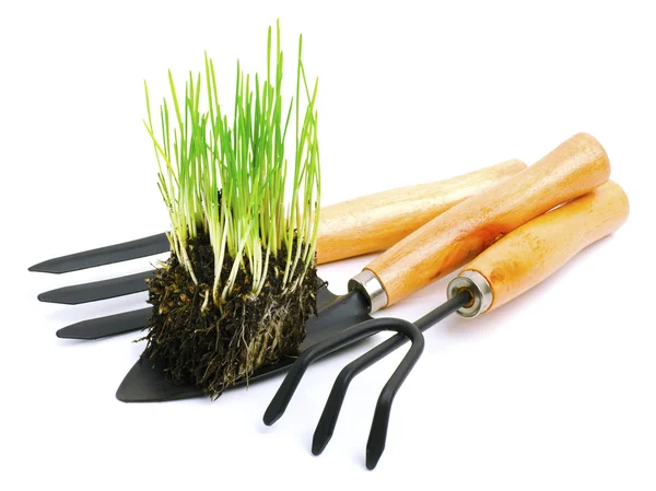 铲、 耙子、 花园工具与绿色根草 — 图库照片