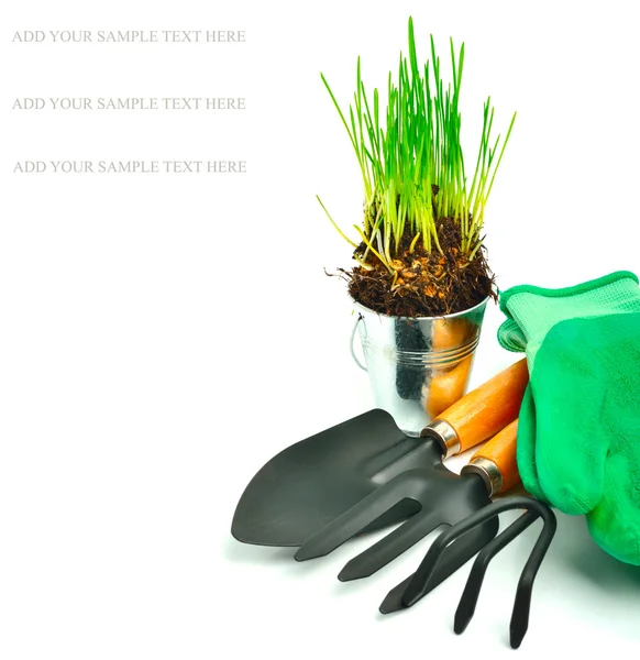 耙、 铁铲，长满绿草的橡胶手套，钢锅 — 图库照片